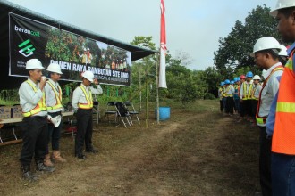 Berau Coal Panen Raya (2 kirim)